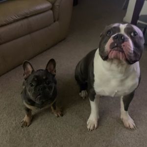 Meet your Posher, Kevin